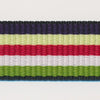 Rainbow Stripe Grosgrain Ribbon #11