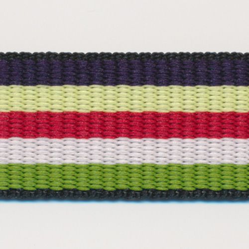 Rainbow Stripe Grosgrain Ribbon #11