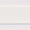 Polyester Taffeta Ribbon #00