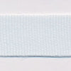 Polyester Taffeta Ribbon #81