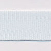 Polyester Taffeta Ribbon #81