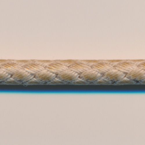 Fake Lizard Cord #12