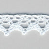 Torchon Lace #81