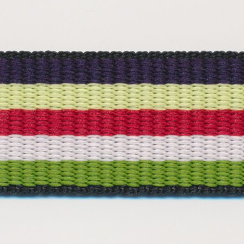 Rainbow Stripe Grosgrain Ribbon #11