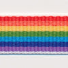 Rainbow Stripe Grosgrain Ribbon #1