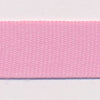 Polyester Taffeta Ribbon #11