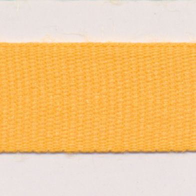 Polyester Taffeta Ribbon #19