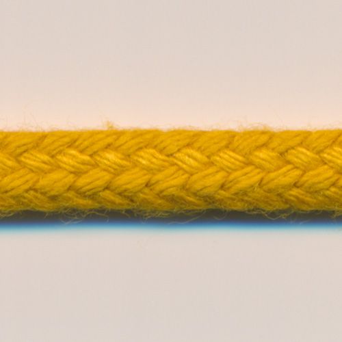String Cord #24