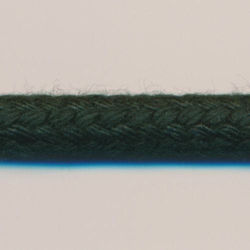 String Cord #39