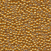 MIYUKI Round Rocaille Seed Beads #4203 Yellow Gold (Duracoat Galvanize)