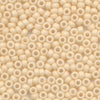 Miyuki Round Rocaille Seed Beads #2022