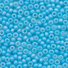 Miyuki Round Rocaille Seed Beads #413FR