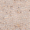 MIYUKI Round Rocaille Seed Beads #23 Peach (Silverline)